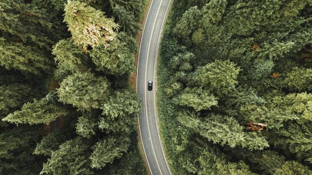 Car driving through woods